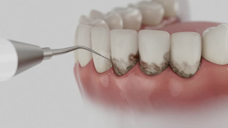 Reliable Dental contractor in Hamshire, TX by Dentist Open Now